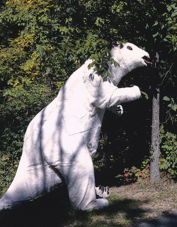 Prehistoric Forest - Old John Margolies Photo (newer photo)